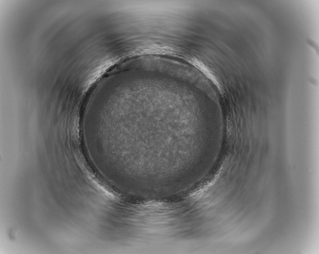 X0000093490581200710261119