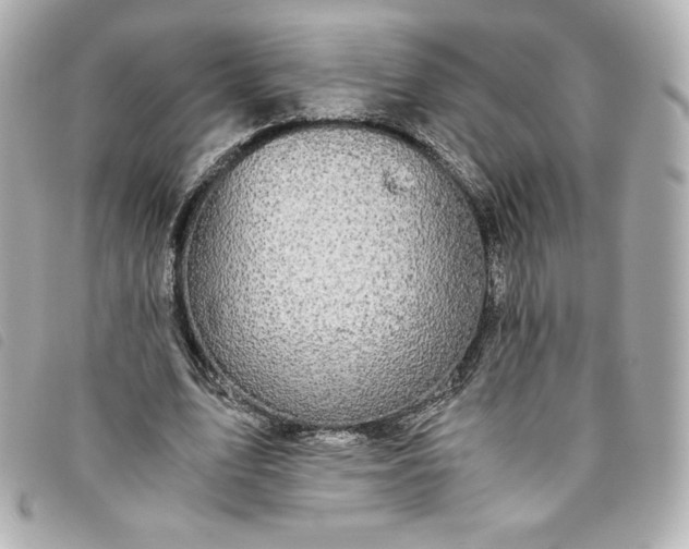 X0000093490583200710261119