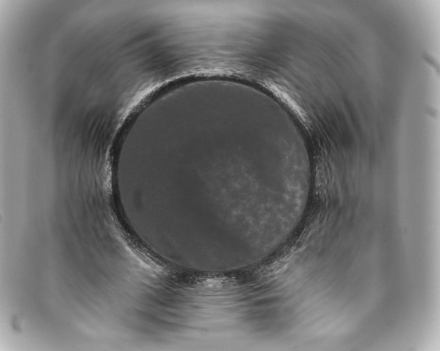 X0000093490584200710261119