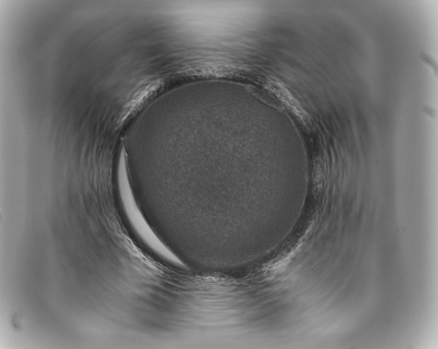 X0000093490585200710261119