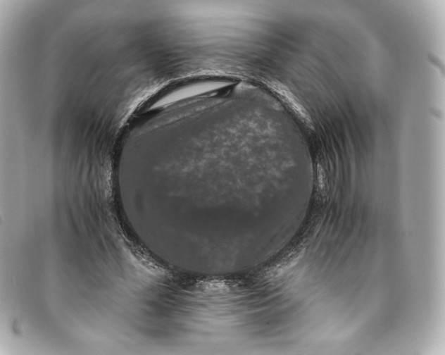 X0000093490588200710261119