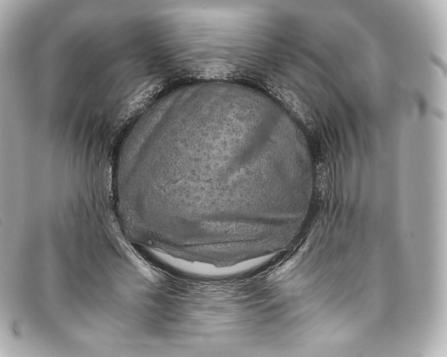 X0000093490589200710261119