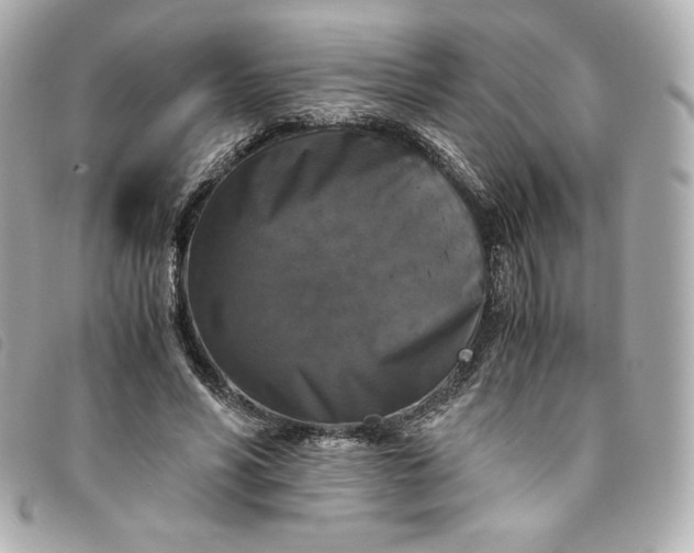 X0000093490590200710261119