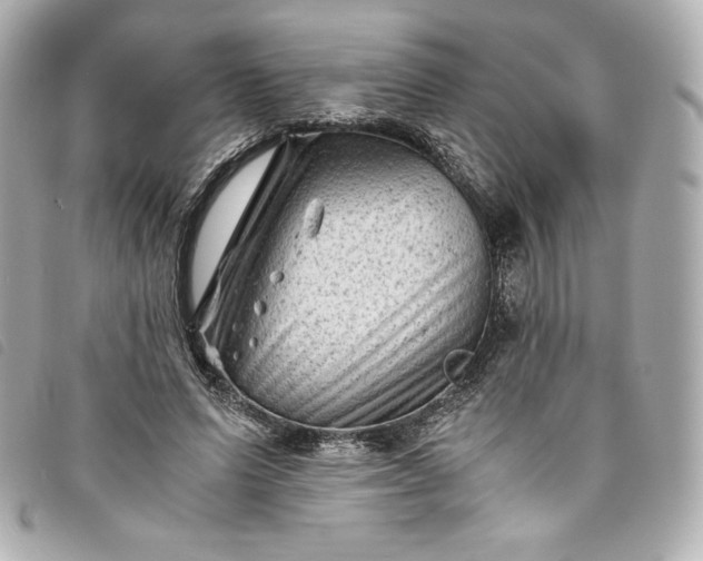 X0000093490591200710261119