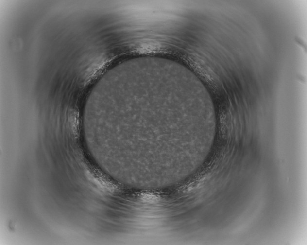 X0000093490592200710261118