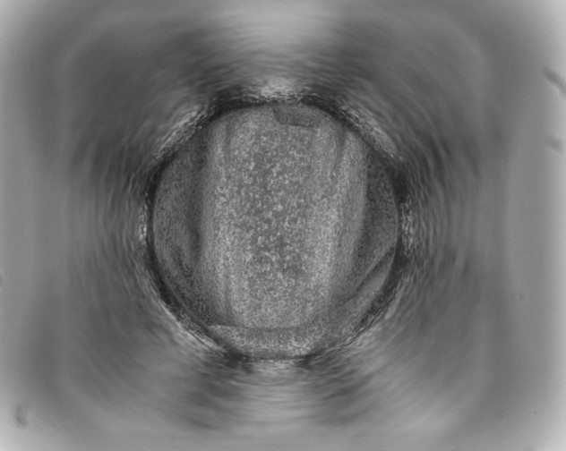 X0000093490593200710261118