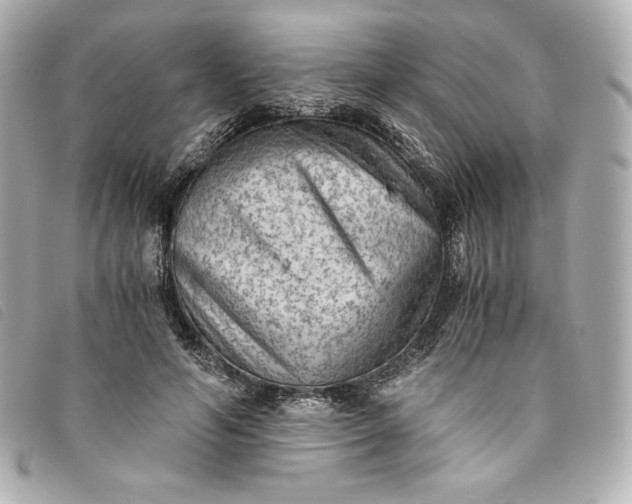 X0000093490594200710261118