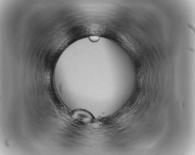 X0000093490595200710261118