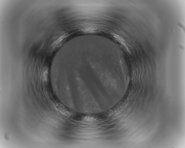 X0000093490596200710261118