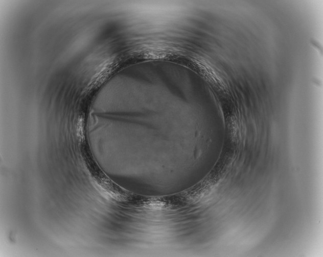 X0000093490598200710261118