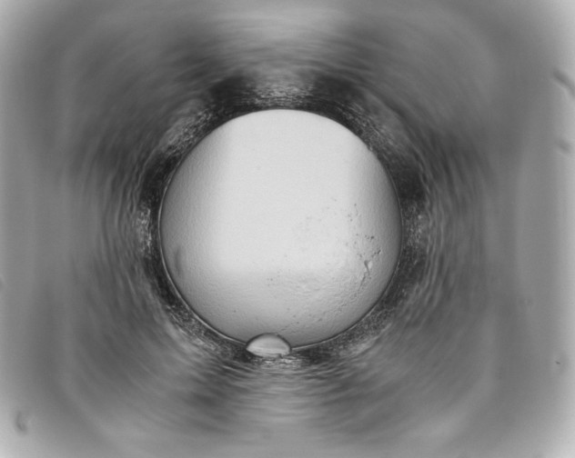 X0000093490599200710261118