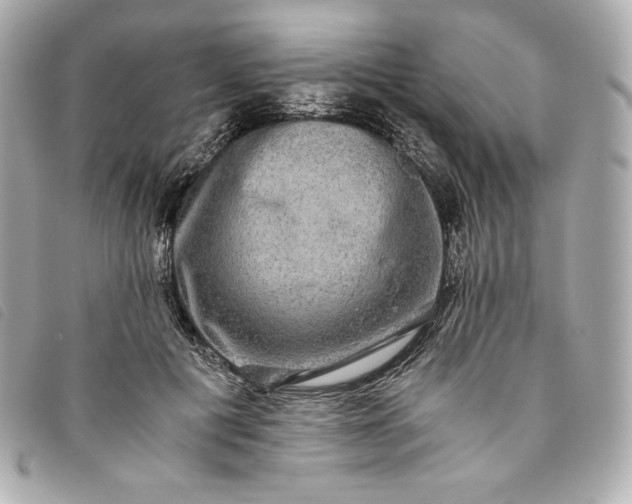 X0000093490601200710261118