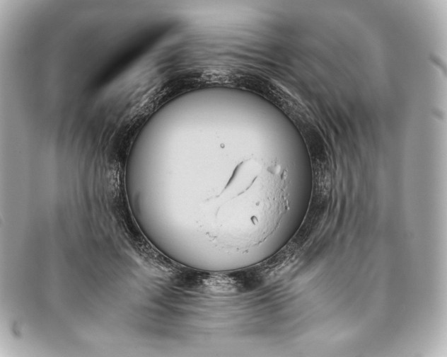 X0000093490603200710261118