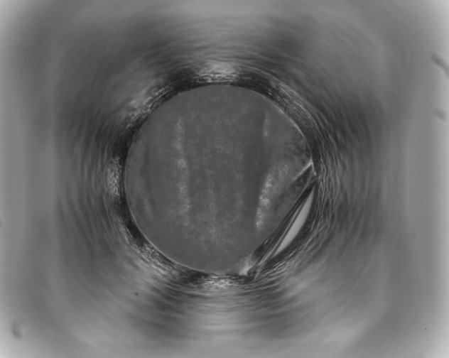 X0000093490604200710261118