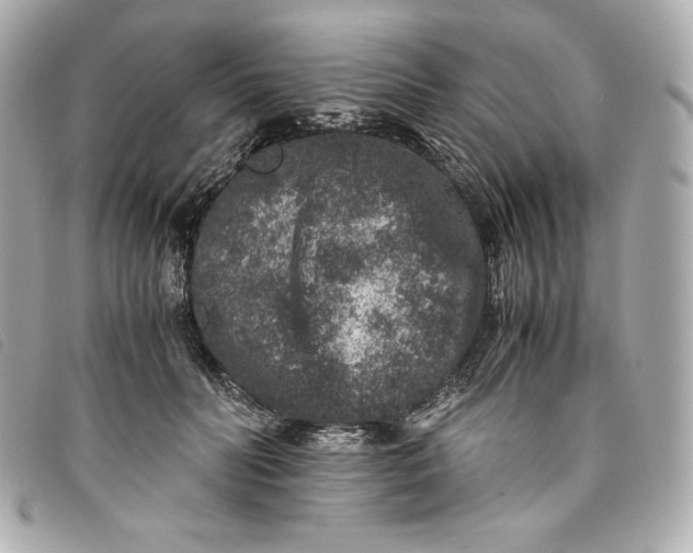 X0000093490606200710261118