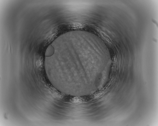 X0000093490608200710261118