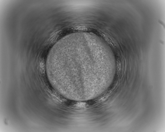 X0000093490609200710261118