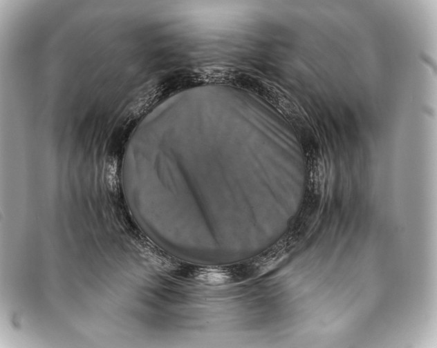 X0000093490610200710261118