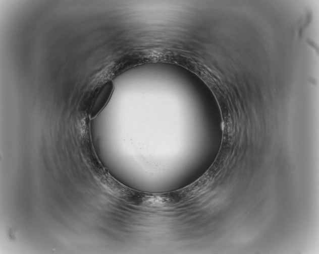 X0000093490611200710261118