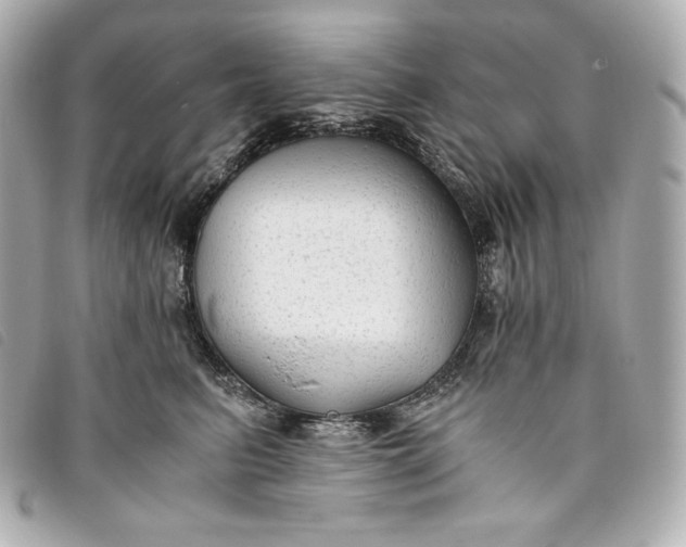 X0000093490615200710261118