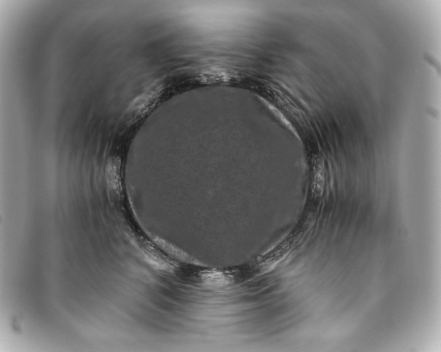 X0000093490616200710261118