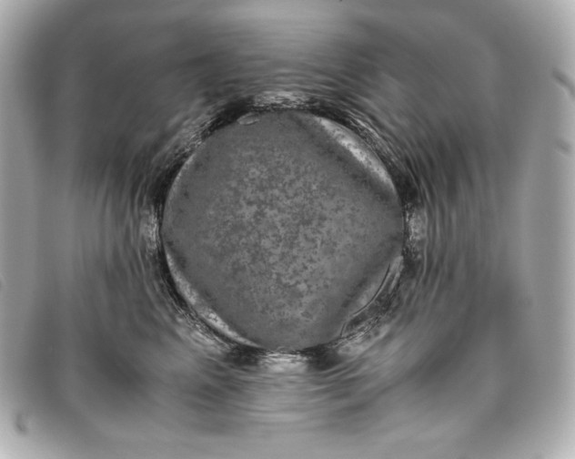 X0000093490617200710261118