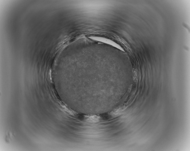 X0000093490621200710261118