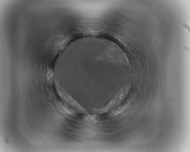 X0000093490624200710261118