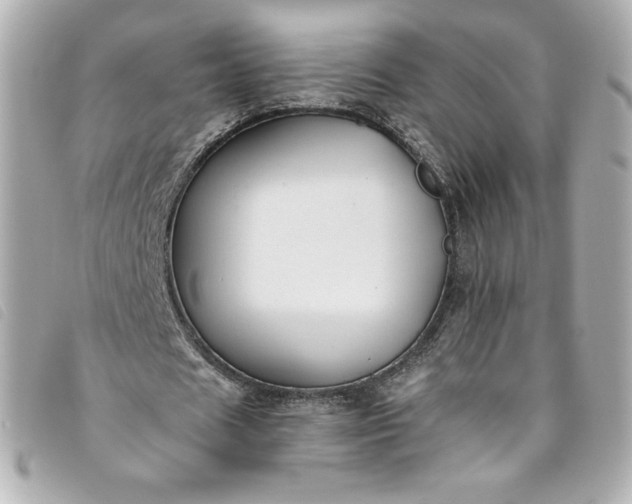 X0000093490625200710261118