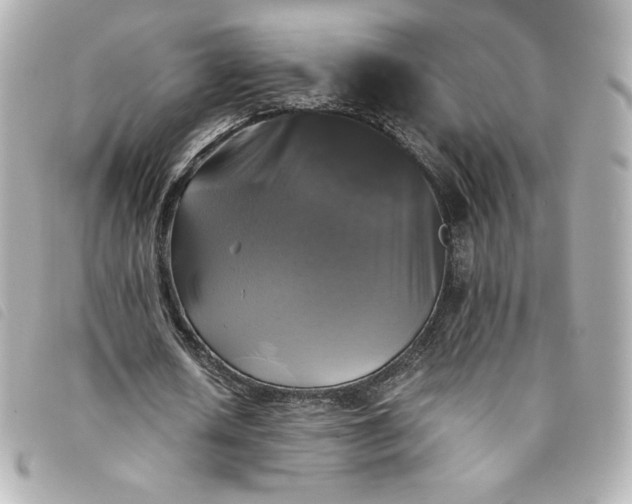 X0000093490626200710261118