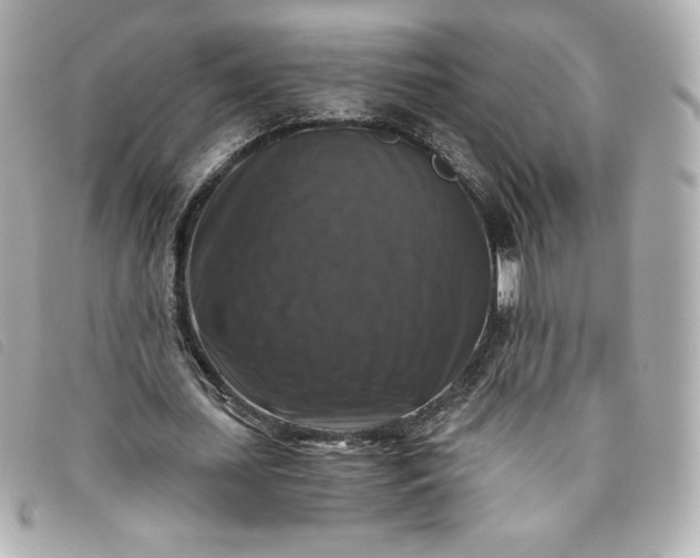 X0000093490627200710261118