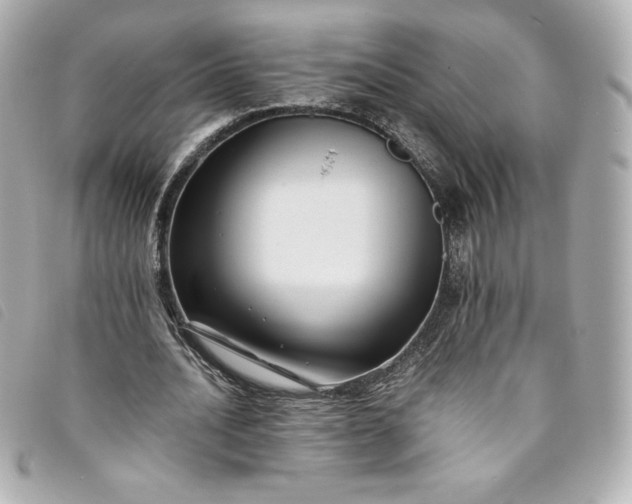 X0000093490628200710261118