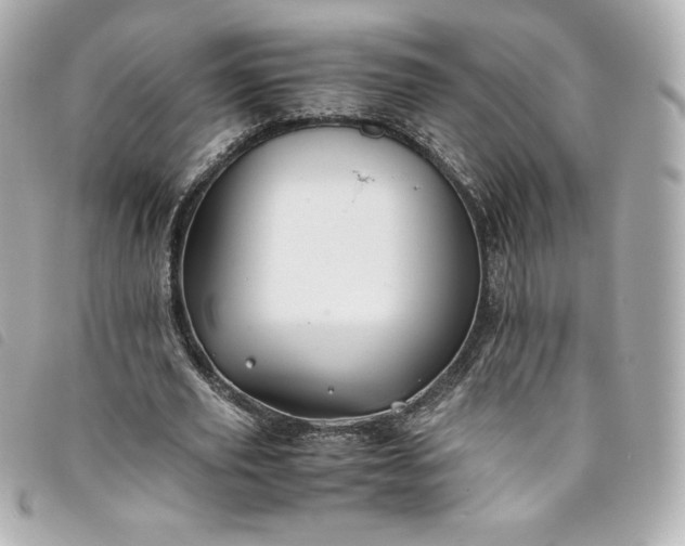 X0000093490629200710261118