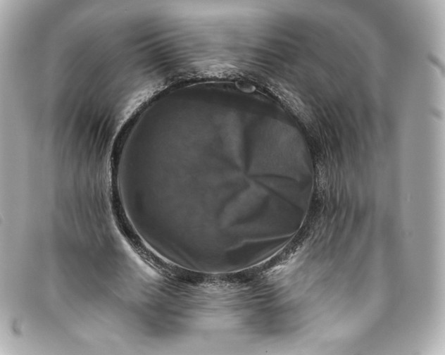 X0000093490630200710261118