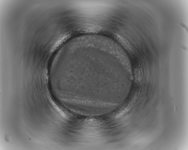 X0000093490634200710261118