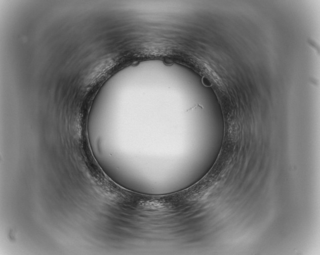 X0000093490635200710261118