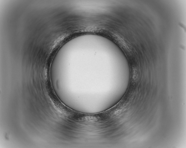 X0000093490636200710261118