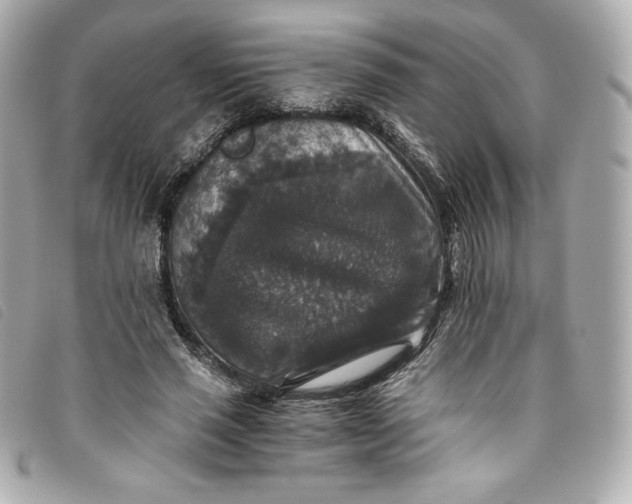 X0000093490637200710261118