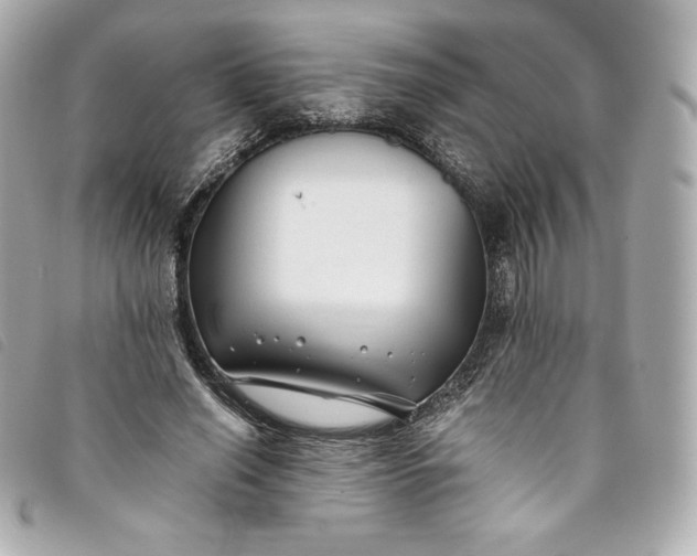 X0000093490638200710261118