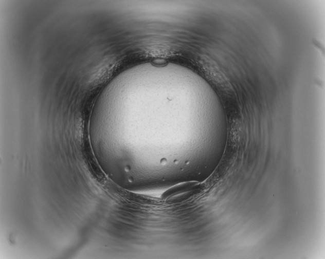 X0000093490639200710261118