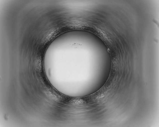 X0000093490642200710261118