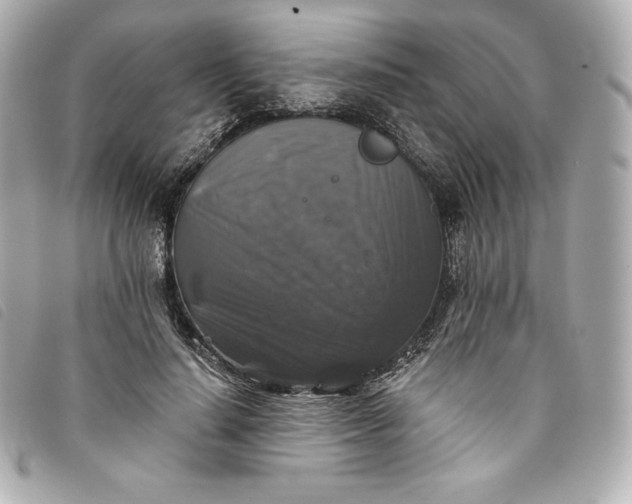 X0000093490644200710261118