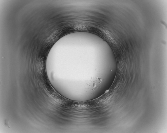 X0000093490645200710261118