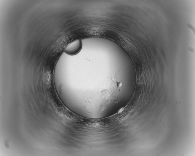 X0000093490646200710261118