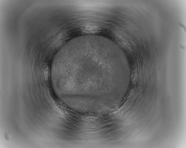 X0000093490647200710261118