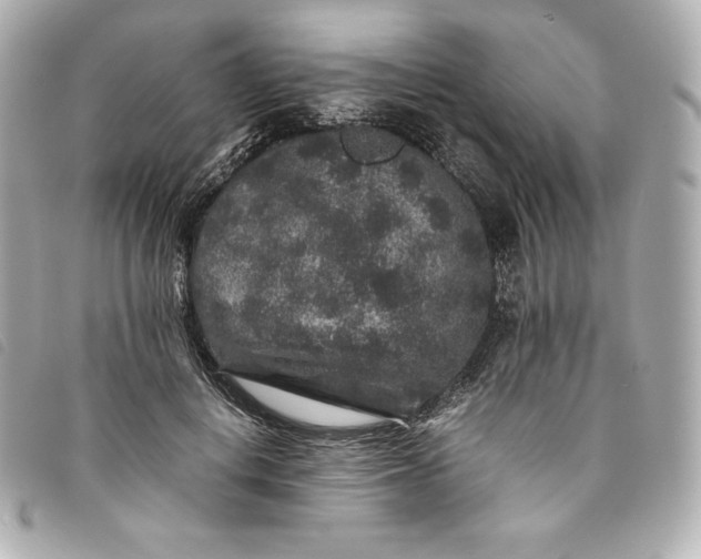 X0000093490648200710261118