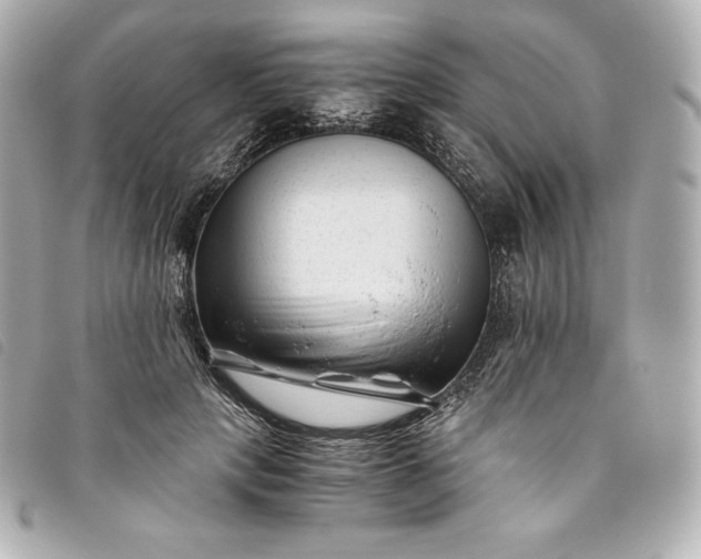 X0000093490649200710261118