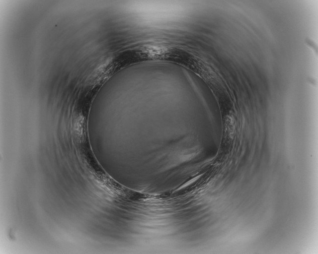 X0000093490650200710261118