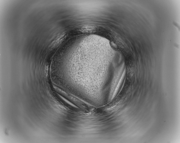 X0000093490652200710261118