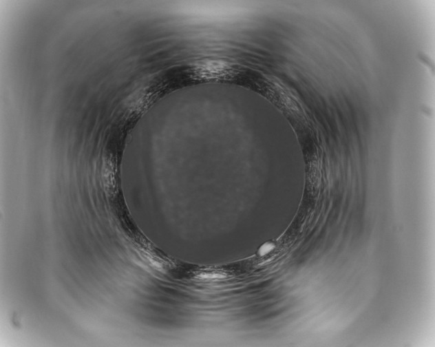 X0000093490653200710261118